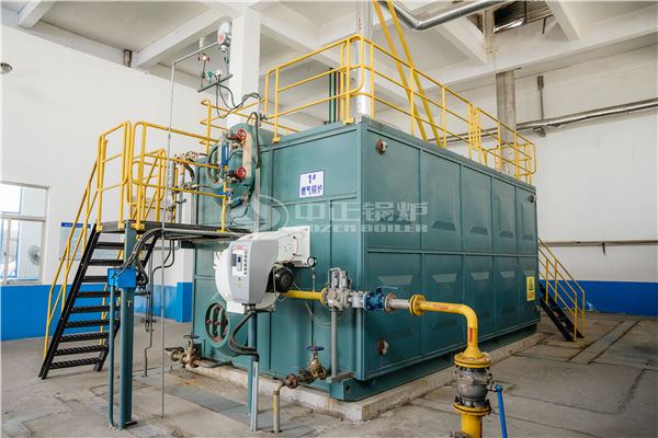 循環(huán)流化床 鍋爐 資料