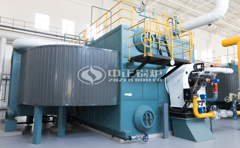 沼氣鍋爐價格客戶案例圖片