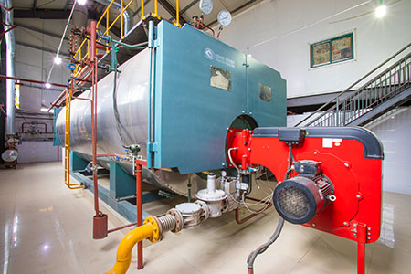 2噸的燃?xì)庹羝仩t圖片