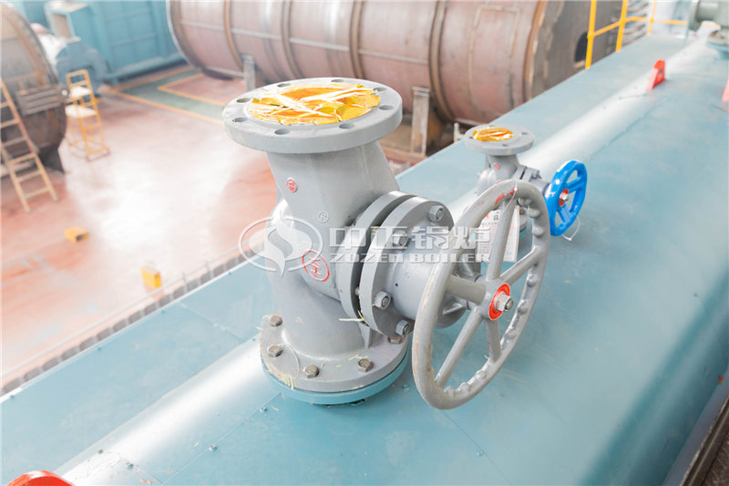 四噸燃?xì)庹羝仩t哪里有