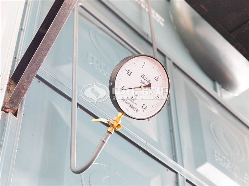 20T天然氣蒸汽爐需要多少錢(qián)